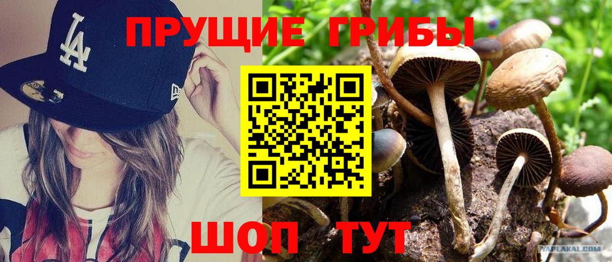 Галлюциногенные грибы MAGIC MUSHROOMS Амурск